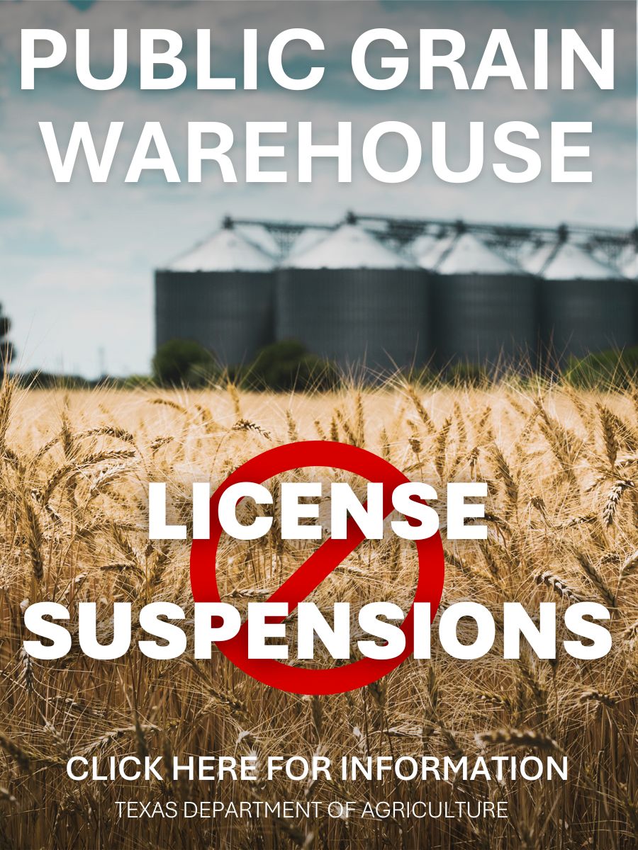 Grain Warehouse Suspensions